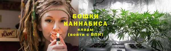 метадон Медногорск