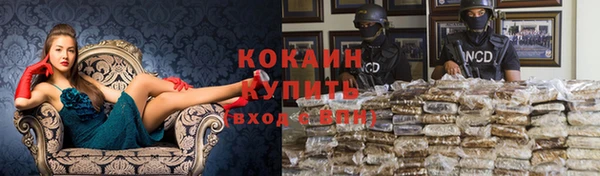 дурь Медвежьегорск