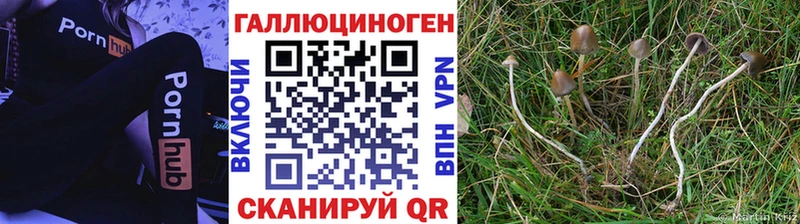 Псилоцибиновые грибы прущие грибы Псков