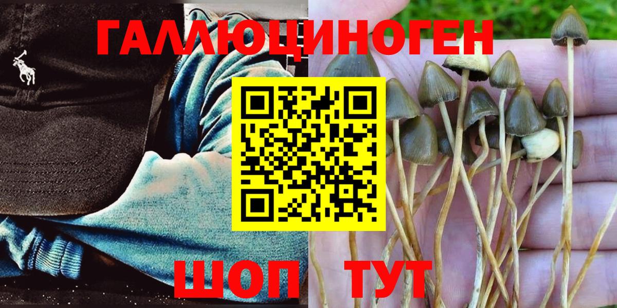 Галлюциногенные грибы Psilocybine cubensis  Вход с VPN  Псков 