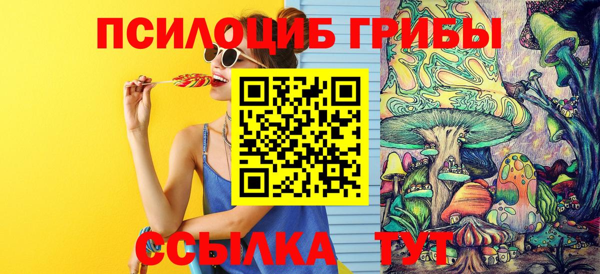 Псилоцибиновые грибы прущие грибы Псков